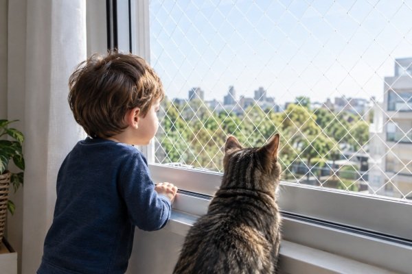 redes para ventanas