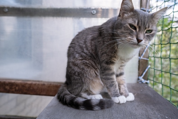 protector de balcon